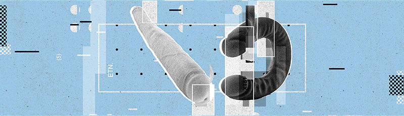 5 Best Double Penetration Dildos for Men in 2026
