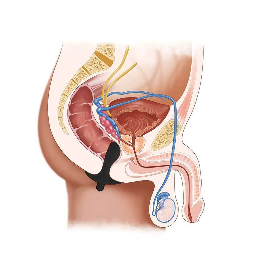Anal Fantasy Silicone Vibrating Perfect Plug